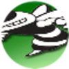Website Admin